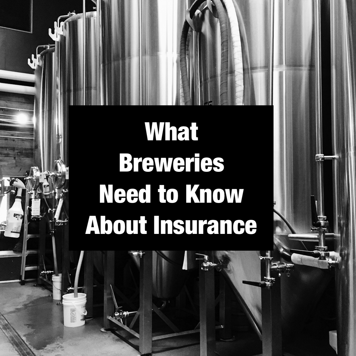 What Breweries Need to Know About Insurance - Portland Beer Podcast Episode 92 by Steven Shomler